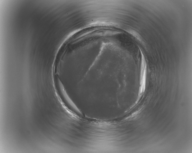 X0000072541030200608111807