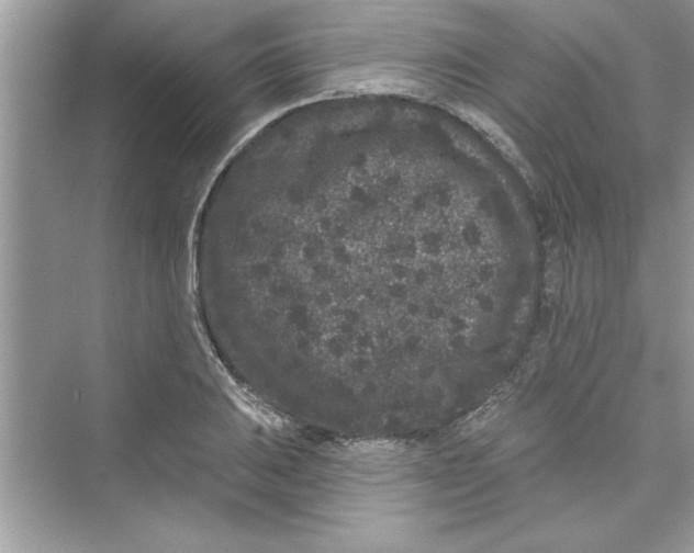 X0000072541031200608111807