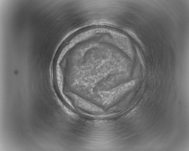 X0000072541032200608111807