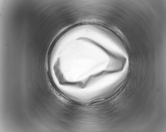 X0000072541036200608111807