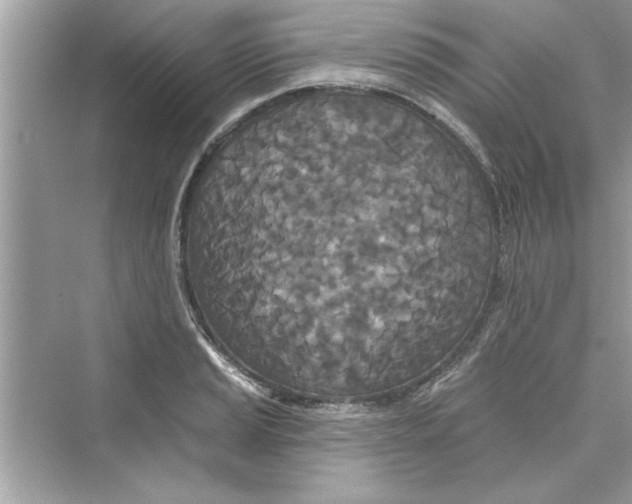 X0000072541037200608111807