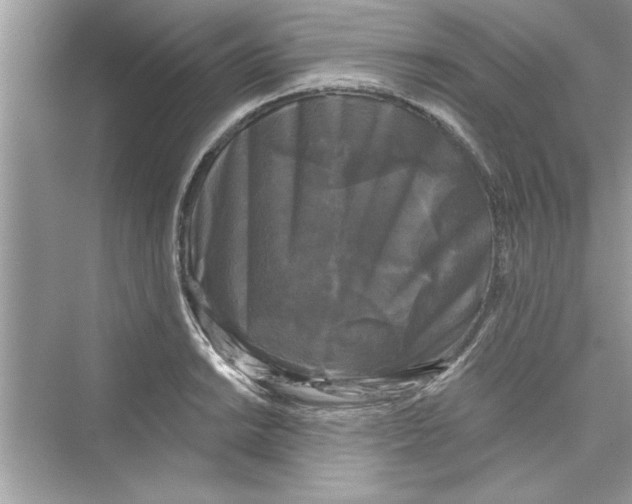 X0000072541038200608111807