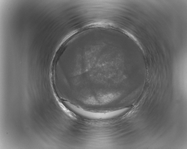 X0000072541042200608111807