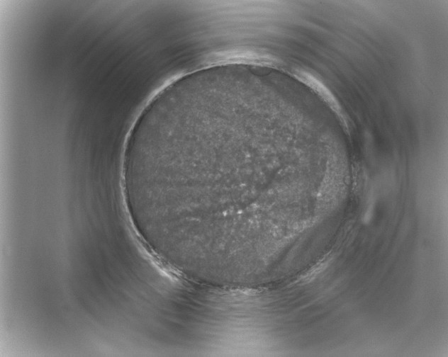 X0000072541043200608111807