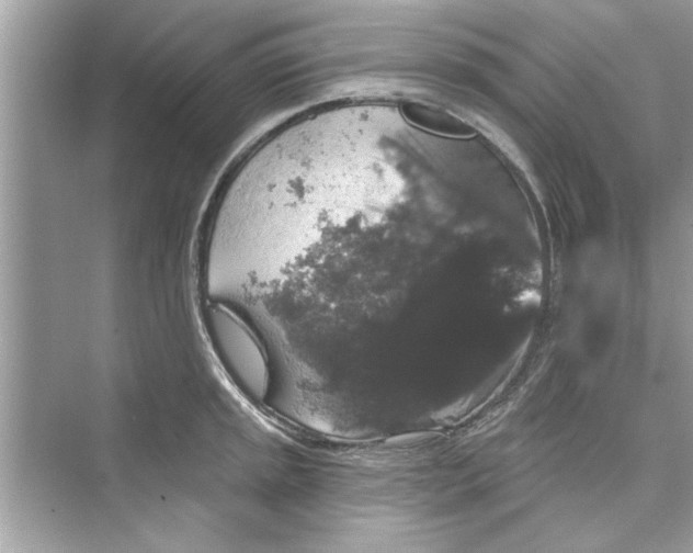 X0000072541045200608111808