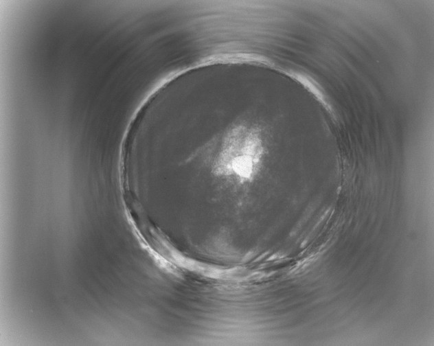 X0000072541046200608111808