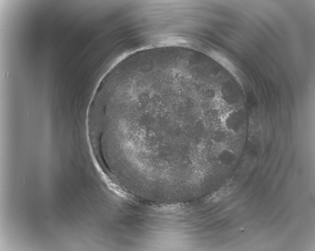 X0000072541047200608111808