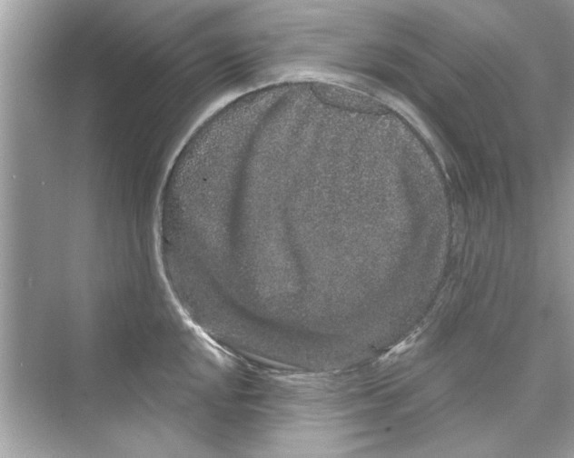 X0000072541048200608111808