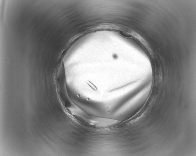 X0000072541049200608111808