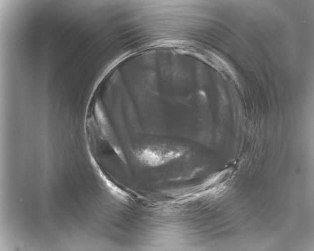 X0000072541050200608111808