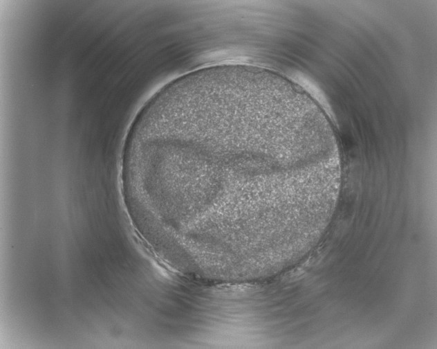 X0000072541051200608111808