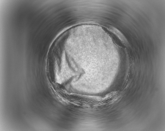 X0000072541052200608111808