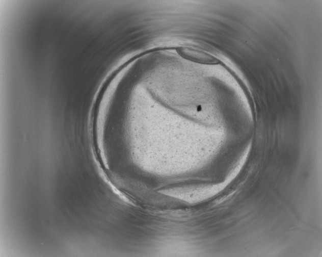 X0000072541053200608111808