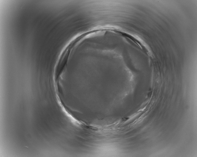 X0000072541054200608111808