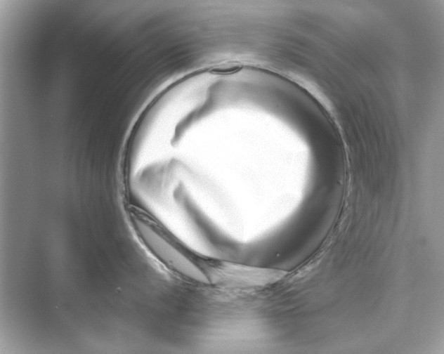 X0000072541056200608111808