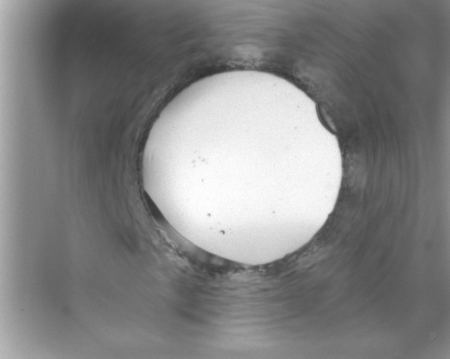 X0000072541057200608111807