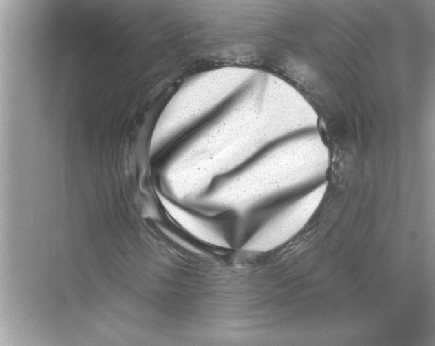 X0000072541058200608111807