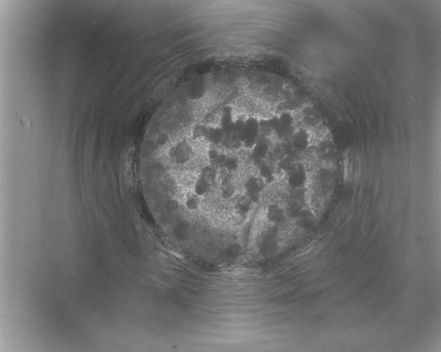 X0000072541059200608111807