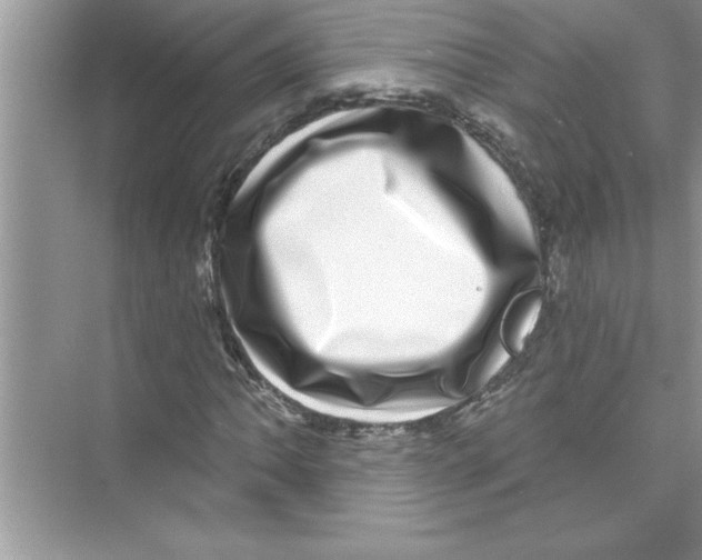 X0000072541062200608111807