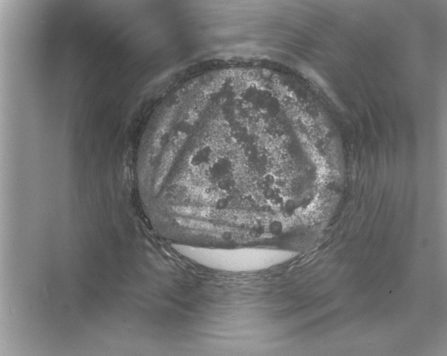 X0000072541063200608111807