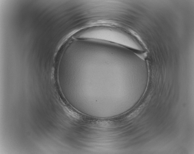 X0000072541066200608111807