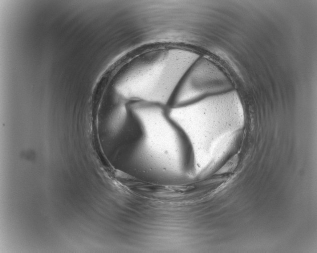 X0000072541069200608111807