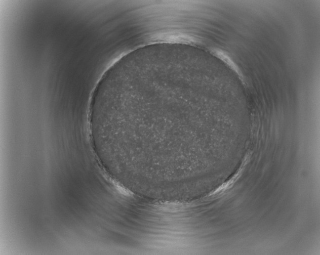 X0000072541071200608111807