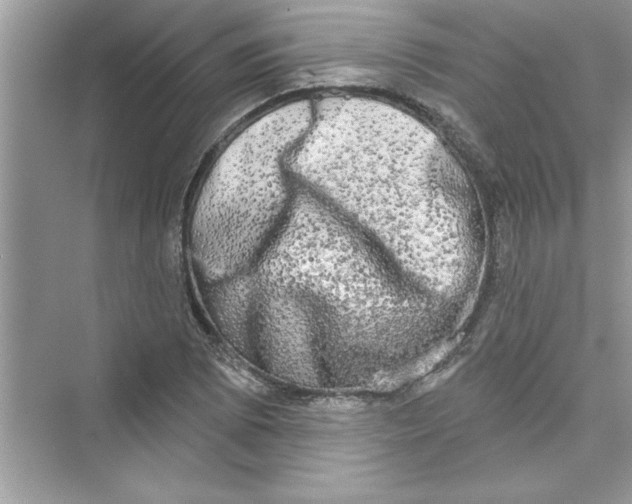 X0000072541073200608111807