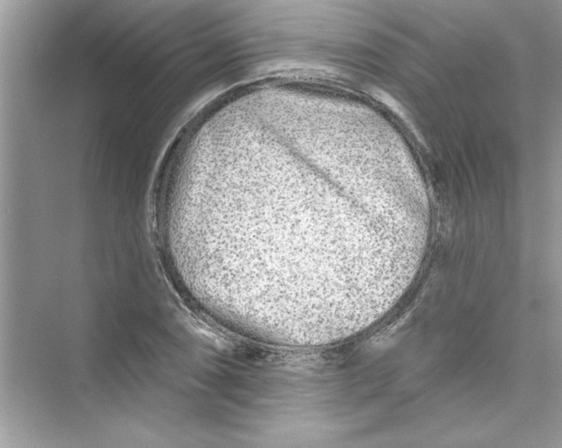 X0000072541074200608111807