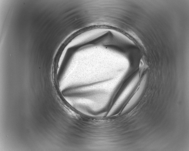 X0000072541076200608111807