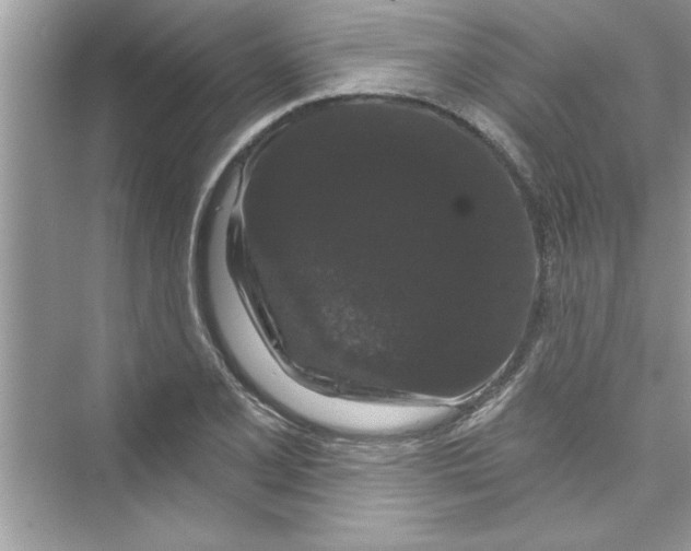 X0000072541077200608111807