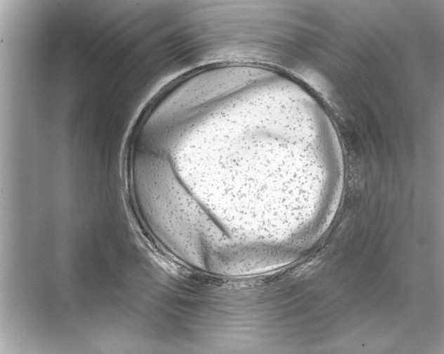 X0000072541078200608111807