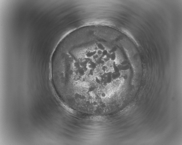 X0000072541079200608111807