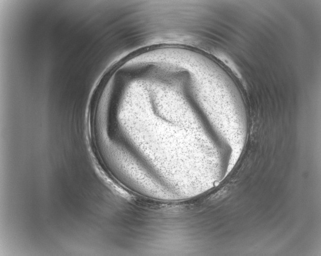 X0000072541080200608111807