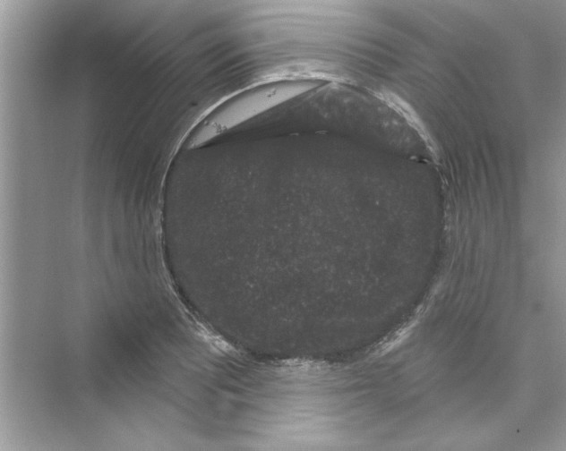 X0000072541081200608111807