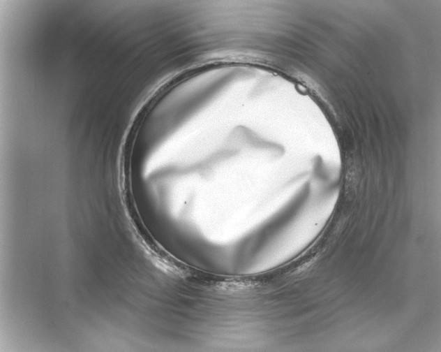 X0000072541082200608111806