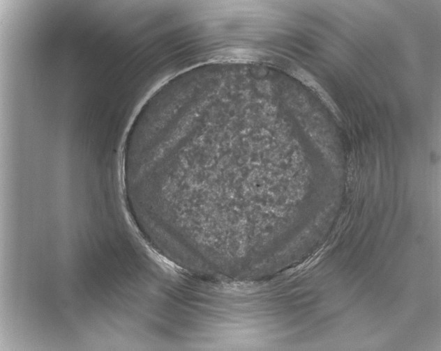 X0000072541083200608111806