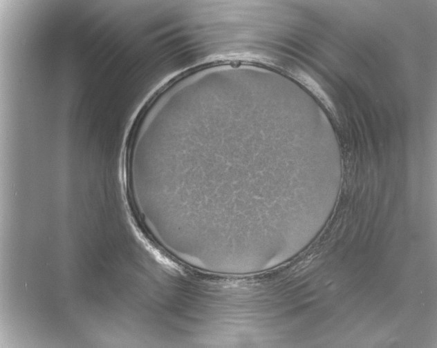 X0000072541084200608111806