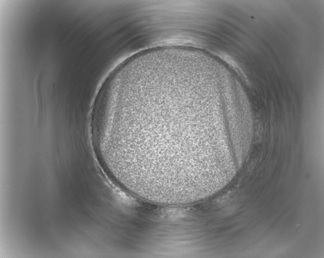 X0000072541086200608111806