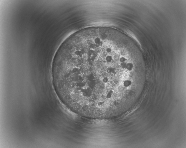 X0000072541087200608111806