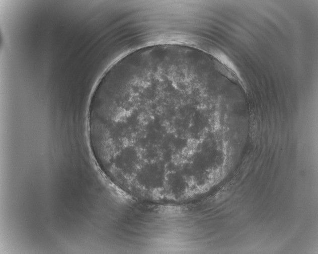 X0000072541088200608111806