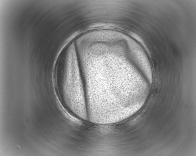 X0000072541090200608111806