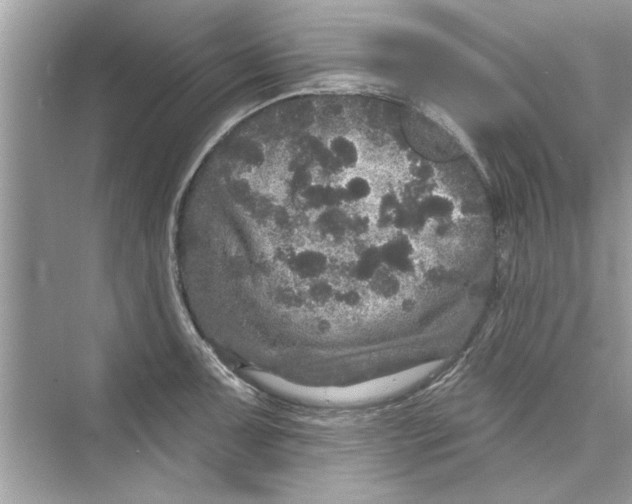 X0000072541091200608111806