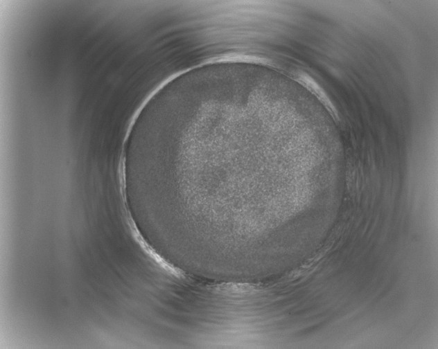 X0000072541092200608111806