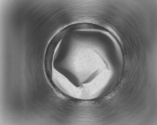 X0000072541093200608111806