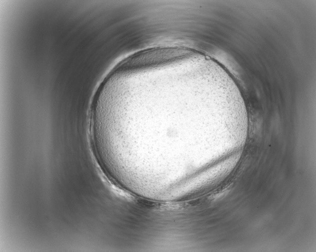 X0000072541094200608111806