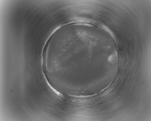 X0000072541095200608111806