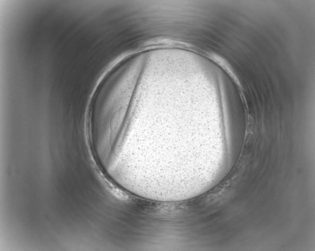 X0000072541098200608111806