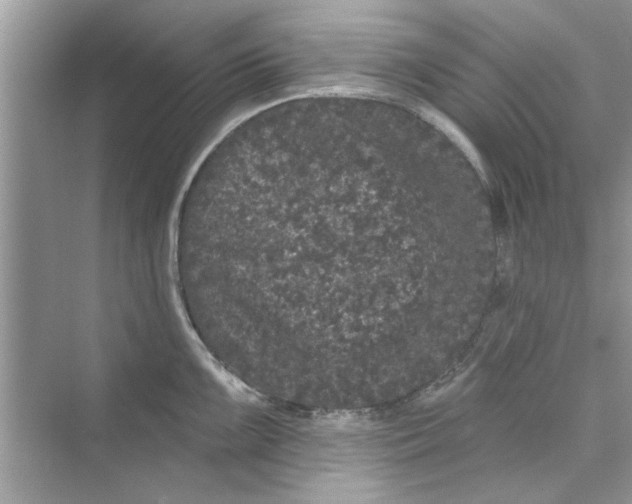 X0000072541099200608111806