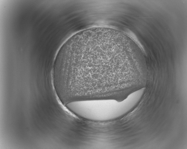 X0000072541100200608111806